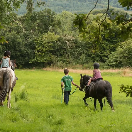 Radisson Blu And Spa, Limerick Junction