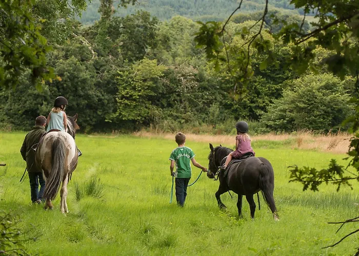 Radisson Blu And Spa, Limerick Junction